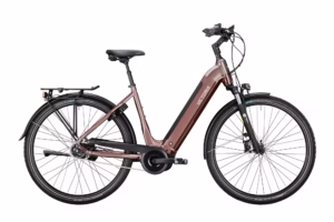 NIEUWE VICTORIA E-Bike “TRESALO 13”